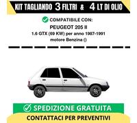 Tagliando per PEUGEOT 205 II 1.6 GTX 69 kw Benzina 1987-1991 - 4 Lt di olio +...