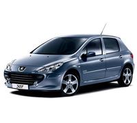 TAGLIANDO PEUGEOT 307 1.6 HDI FILTRO FAP