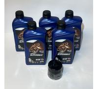 Tagliando Triumph Thunderbird Storm 1700 cc 2011/2018 Filtro Olio ELF 10w40