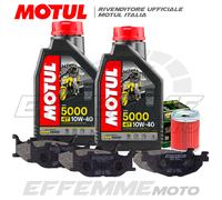 Tagliando YAMAHA Majesty 400 2009 2010 2011 2012 (5000 Filtro Pastiglie Braking)