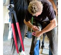 Tagliaunghie Per Zoccoli - Attrezzo Per Ferratura E Rifilatura | Tagliatori Per Riparazione Ferri Di Cavallo Pinze Tagliaunghie Forniture E Attrezzi Per Zoccoli Bovino Animale Pecora Fattoria