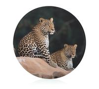 Tagliere da cucina con leopardo africano su roccia, mini tagliere rotondo in vetro temperato per picnic, tagliare pizza, carne, frutta (20 cm)