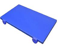 Tagliere da cucina Professionale blu cm 40x30x2 per pesce e prodotti ittici in polietilene Certificato HACCP anticontaminazioni Alimentare antibatterico Con Fermi Inox