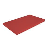 Tagliere Gastro in plastica PP - Tagliere professionale igienico in diversi colori e dimensioni (500 x 300 x 20 mm e 600 x 400 x 20 mm) HACCP tagliere da cucina (rosso, 500 x 300)