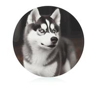 Tagliere in vetro, 20,3 x 20,3 cm, simpatico cane husky, con piedini antiscivolo, taglieri rotondi per cucina, resistenti al calore, piccoli taglieri per frutta, formaggio, verdura, pane