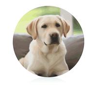 Tagliere in vetro, 20,3 x 20,3 cm, simpatico cane labrador, con piedini antiscivolo, taglieri rotondi per cucina, resistenti al calore, piccoli taglieri per frutta, formaggio, verdura, pane