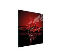 DarHaus Copri piano cottura induzione 45x52 cm copertura per piano cottura in vetroceramica 1 pezzi universale per piastre di cottura paraspruzzi tagliere in vetro temprato, Rosso Peperoncino