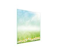TAGLIERE IN VETRO 45x52 MARGHERITA