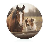 Tagliere in vetro temperato Collie Dog Horse 20 "x 8" con piedini in gomma, antiscivolo e resistente al calore, taglieri per frutta, piccoli taglieri regalo per cucina/bar/campeggio/matrimonio/camper
