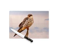 Tagliere in vetro temperato - Falco posato su un ramo natura selvaggia Rapace - Protezione piano di lavoro e sottopentola resistente al calore 2 misure stampate in Francia