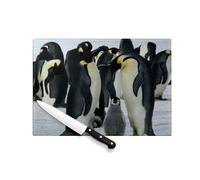 Tagliere in vetro temperato - Genitori e Bebes Pinguini Banchise Animali Selvatici - Protezione piano di lavoro e sottopentola resistente al calore 2 misure stampate in Francia