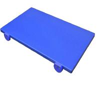 Tagliere Professionale in Polietilene BLU CM 50x40x2 cm Certificato HACCP