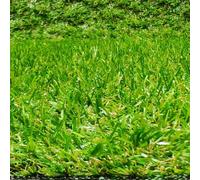 Taglio di erba 20 mm altezza artificiale, moquette terrazza o giardino (40 x 70 centimetri)