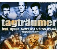 Tagträumer - We Are Living in a Perfect Wor