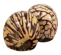 Tagua Dadi Craft Materiale 1 X Coppia Sale Pepiera Set Ecuador Intaglio Vegano