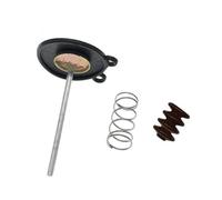 TAHDP Kit Di Riparazione Carburatore Per CB 250 TWO FIFTY, Per CB250 1991-1992, 1998-2004, Parti A Membrana Galleggiante Per Carburatore Singolo Riparazione del carburatore(Colore 5)