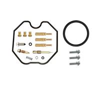 TAHDP Kit Di Riparazione Carburatore Per Moto Per HYOSUNG RX125 RT125 XRX125 RX XRX RX125SM RT125D, Parti Carburatore Con Galleggiante E Pompa Riparazione del carburatore(Colore 2)