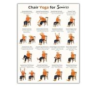 Tai Chi Chair Exercise Chart For Seniors Rustic Metal Plaque 12x8 Inch