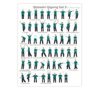 Tai Chi Qigong 18 Forms Poster Chinese Movement Exercise Chart for Beginners Canvas Wall Art Decor(Framed,12x18inch(30x45cm))