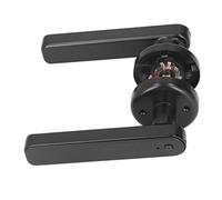 Taidda Maniglia Biometrica Ad Alta Tecnologia con Serratura Intelligente per Impronte Digitali per Seminterrato Magazzino Camera da Letto - Lega di Zinco (BLACK)