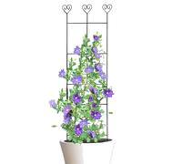 Tailor for Potted Garden Metal Tutor con vini, accessorio da giardinaggio, supporto per pomodoro, Ivy, vegetale di pomodori a costine e fiori Adam Rib, vite e fiori