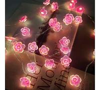 TaimeiMao 2M 20 Guirnalda LED de Cerezo, Cadena de Luces Cerezo de Flores, Fata Luci della Stringa del Fiore Rosa, Lucine Decorative per Camera Natale Interni e Esterni,Casa, Feste, Matrimonio