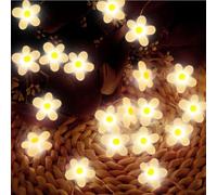 TaimeiMao Luci LED 2m 20 Fiori Margherite - Ghirlanda Micro LED per Interni/Esterni (Giardino, Terrazza, Balcone, Alberi, Matrimoni, Feste i efficienza energetica F]
