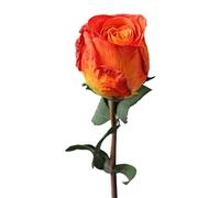 Tainrunse Fiore di rosa artificiale a ramo singolo, pianta finta regalo per creare atmosfera petali più spessi bella lunga durata di vita arancione