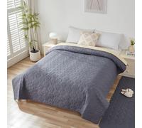 Taiyang Copridivano per Cani impermeabile, Coperta impermeabile per cani, protezione per mobili per bambini, bambini, cane, gatto, Con fondo in gomma antiscivolo (Grigio, 208-260 cm)