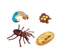 TAIZhiChen 4 Pezzi Ciclo della Vita Set Figurine Animali Plastica Repliche Dettaate Evoluzione Adatte a Scuola Decorazione Artigianato