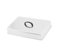 TAIZhiChen Coperchio per Formaggio, Coperchio per Hamburger, Coperchio Rettangolare per Vaporiera, Coperchio Universale in Acciaio Inox per Barbecue, Teppanyaki, 43.5x28.3x6.6 Cm