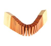 TAIZhiChen Strumento a Percussione in Legno per La Didattica, Professionale, Serpentino