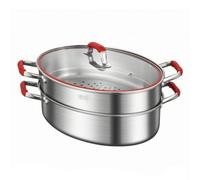 TAIZhiChen Vaporiera con Coperchio Facile da Pulire | In Acciaio Inox, la per Pesce con Coperchio, Multiuso, la per Vapore Griglia, 2 Strati, Con Piastra D Acciaio