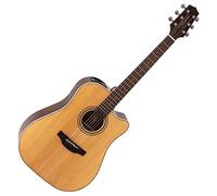 Takamine Takamine GD20CE-N