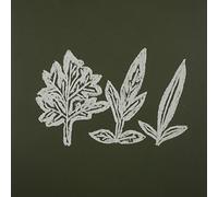 Takashi, Ueno - Variations Of Weeds