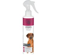 TAKE CARE Shampoo Secco Spray 250ML
