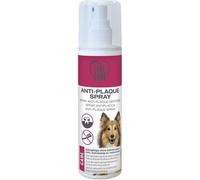 Take Care Spray Antiplacca 125ML