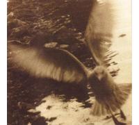 Take Me Home: A Tribute To John Denver (CD) Album