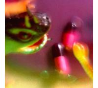 Bush Tetras Take the Fall (CD) EP