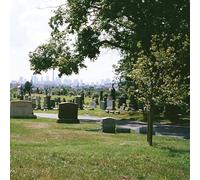 Bad Luck. Take What You Need Evergreen Cemetery (Vinyl LP)