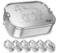 TAKWAY Contenitore per il pranzo in acciaio inox con scomparti, 800 ml, a prova di perdite, per bambini e adulti, con suddivisione flessibile, per asilo, scuola e viaggi (cavallo, divisorio)
