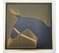 TaLcuS Kit String Art Fai da Te for Adulti, Kit String Art con Cornice for Foto in Legno Kit Fai da Te Tutto compreso con Animali 3D con Istruzioni Facile da Realizzare(A10,40 * 40cm)