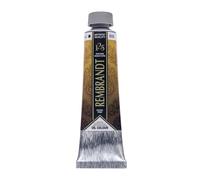 Talens Japan T0182-050-1 Rembrandt 479561 - Pittura a olio color oro, 40 ml