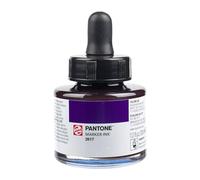 Talens | Pantone Inchiostro per Pennarelli 30 ml 2617 | Inchiostro Fluido + Pennarello Riempitivo | Inchiostro Pigmentato a Base d'Acqua in 108 Colori Pantone