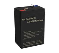 TalentCell 6V 6Ah LiFePO4 batteria ricaricabile per il tempo libero