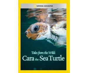 Tales from the Wild: Cara the Sea Turtle (DVD)