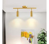 TaleTre Faretto di Illuminazione Moderna, Ottone Opaco, Apparecchio di Illuminazione a Binario a LED Oro Illuminazione a Binario in Ottone Dorato con Testa Girevole Faretto da Incasso a Soffitto(2-lig