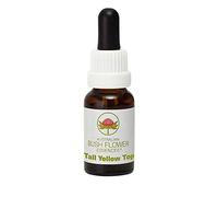 Tall Yellow Top 15ml stock Australian Bush Flower Essences Ian White