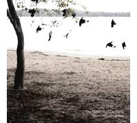 Tallest Man On Earth - There'S No Leaving No