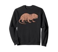 Talpa Ratto Mammifero Sotterraneo Furless Raro Animale Creatura Felpa